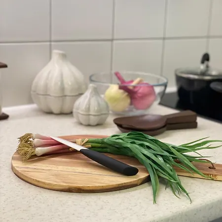 Appartement Design Old Town Aprt - Blue Church & Park - Ac Bratislava